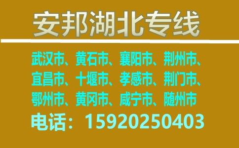 15155021HkGTmK.jpg